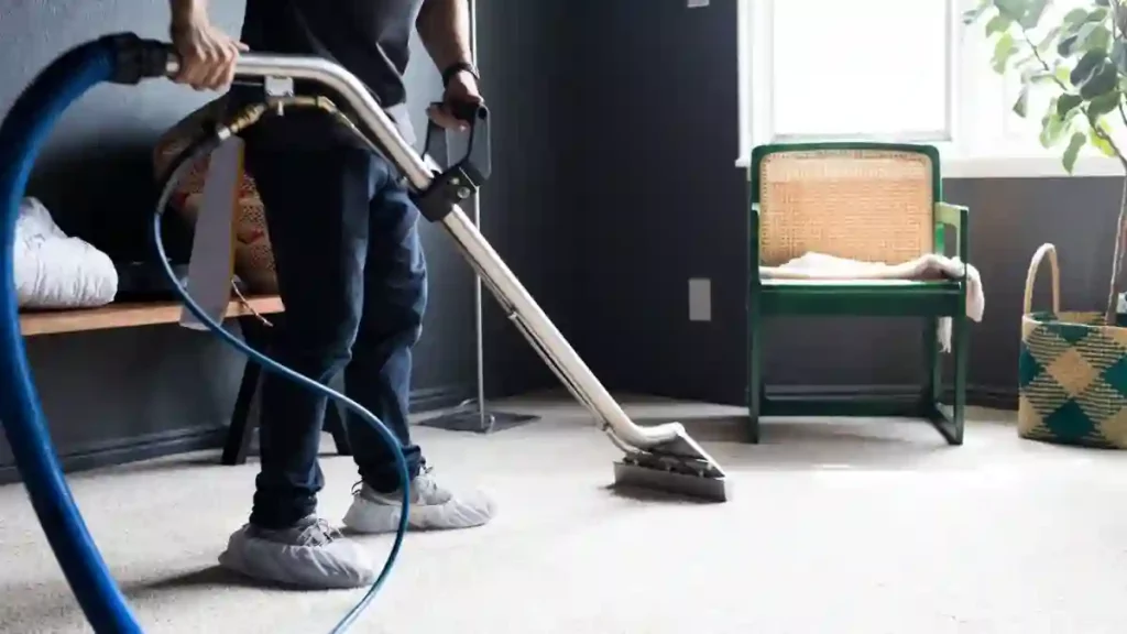 rug cleaning