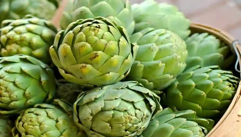 Artichoke Taste Like