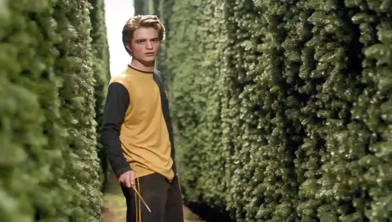 Cedric Diggory: The Forgotten Hero of Harry Potter’s Wizarding World Cedric Diggory