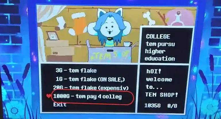 Temmie Armor